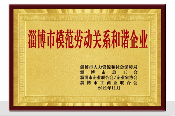 淄博市模范勞動(dòng)關(guān)系和諧企業(yè)